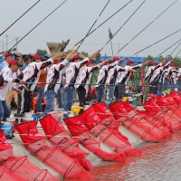三友“一夜成名“夜釣爭霸賽,賽事成績公告!